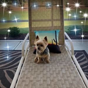 Meet your Posher, Lynda